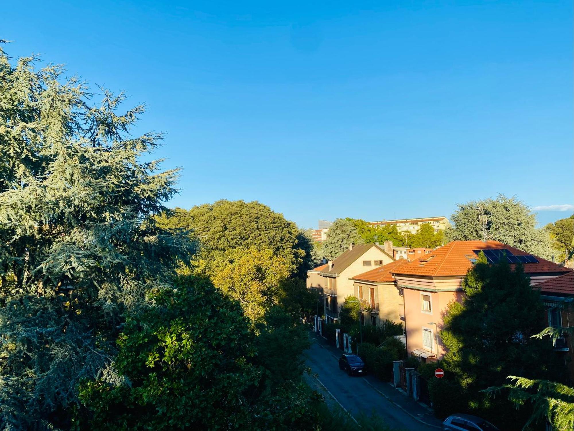 The Luxory Cat Bed & Breakfast Milan
