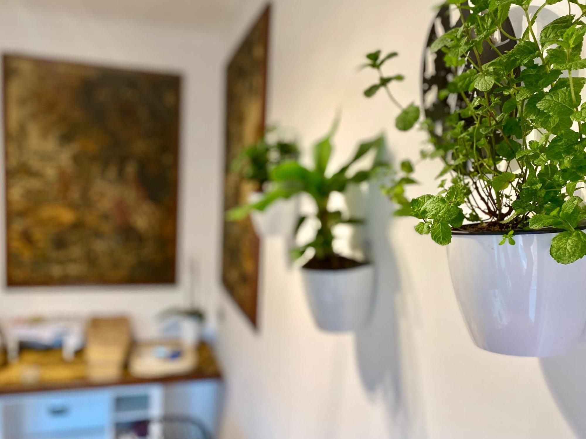 The Luxory Cat Bed & Breakfast Milan